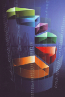 The Budget 2009