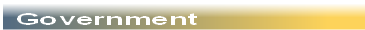 Government